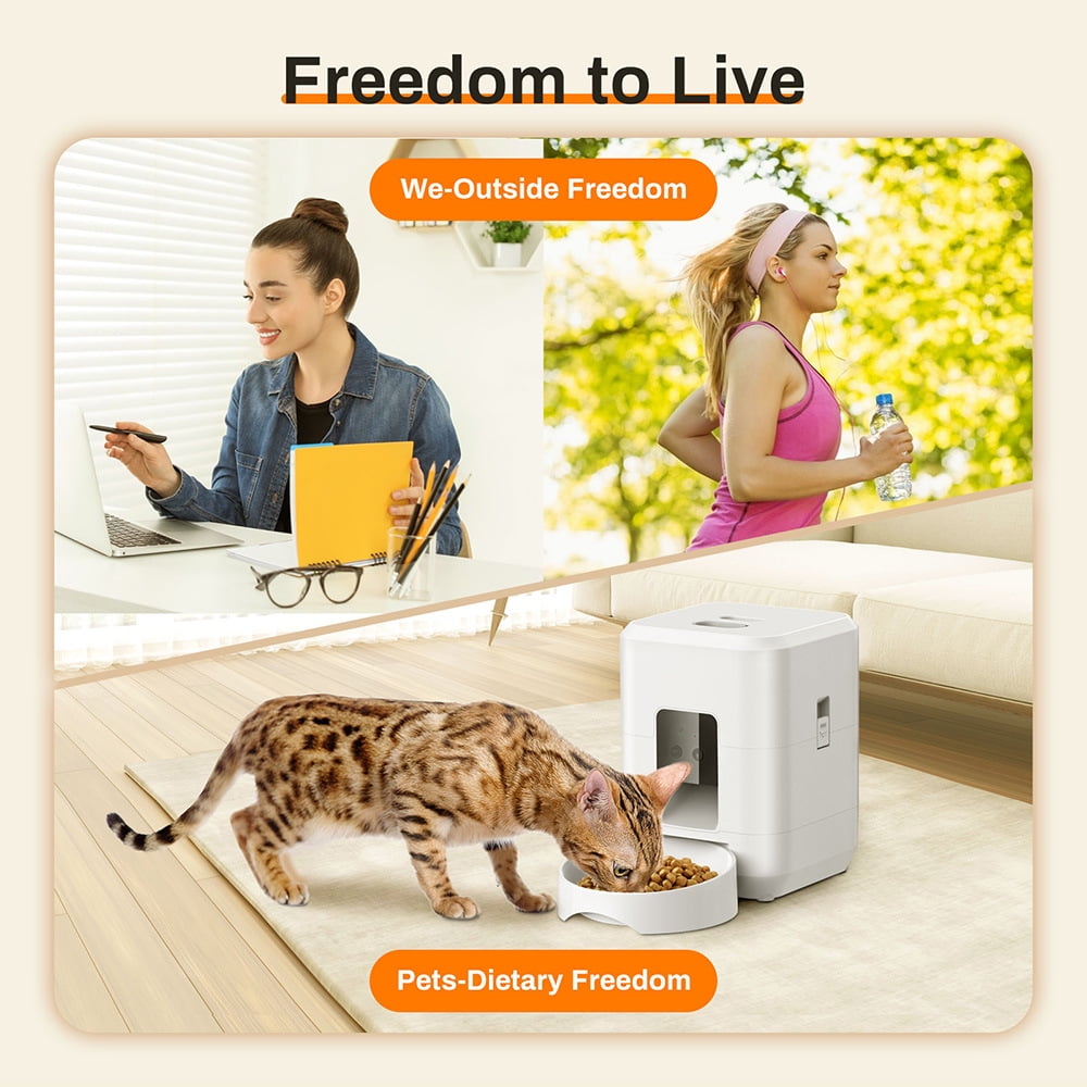 2L Smart Control Pet Feeder WIFI Feeders for Cats Remote Feeding cat Food Dispenser Automatic Pets Feeder (2L- WiFi black,US PLUG)