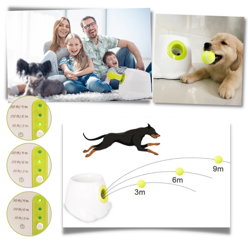 Dog Interactive ball launcher | Automatic Ball thrower - Pet Agility equipment | Fun pet trainning toy and Perfect Gifts for pets