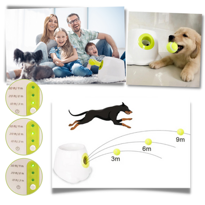 Dog Interactive ball launcher | Automatic Ball thrower - Pet Agility equipment | Fun pet trainning toy and Perfect Gifts for pets