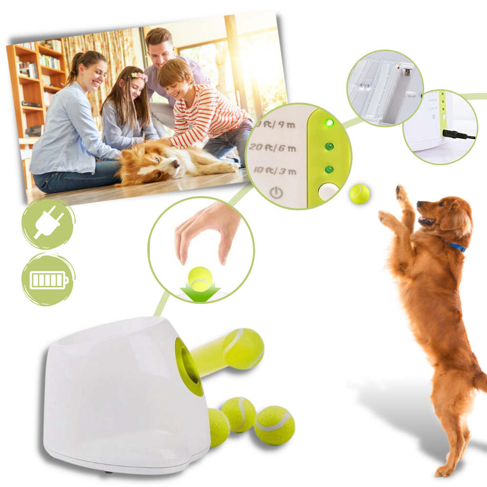 Dog Interactive ball launcher | Automatic Ball thrower - Pet Agility equipment | Fun pet trainning toy and Perfect Gifts for pets