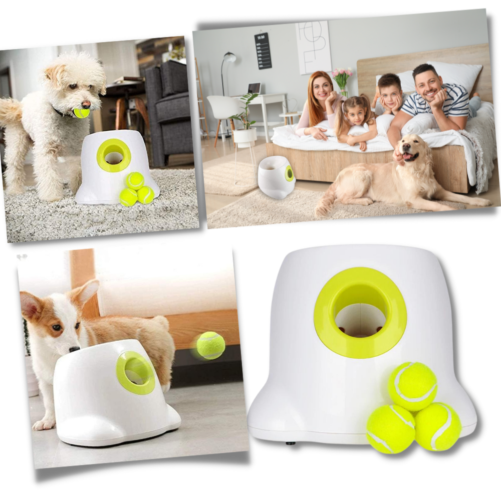 Dog Interactive ball launcher | Automatic Ball thrower - Pet Agility equipment | Fun pet trainning toy and Perfect Gifts for pets