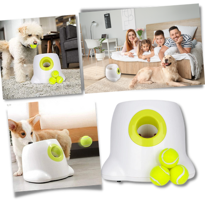 Dog Interactive ball launcher | Automatic Ball thrower - Pet Agility equipment | Fun pet trainning toy and Perfect Gifts for pets