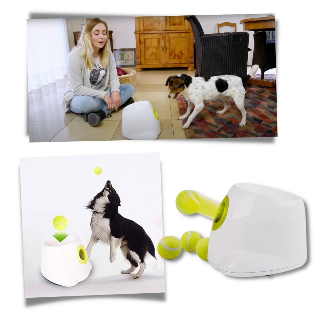 Dog Interactive ball launcher | Automatic Ball thrower - Pet Agility equipment | Fun pet trainning toy and Perfect Gifts for pets