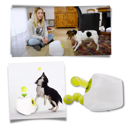 Dog Interactive ball launcher | Automatic Ball thrower - Pet Agility equipment | Fun pet trainning toy and Perfect Gifts for pets