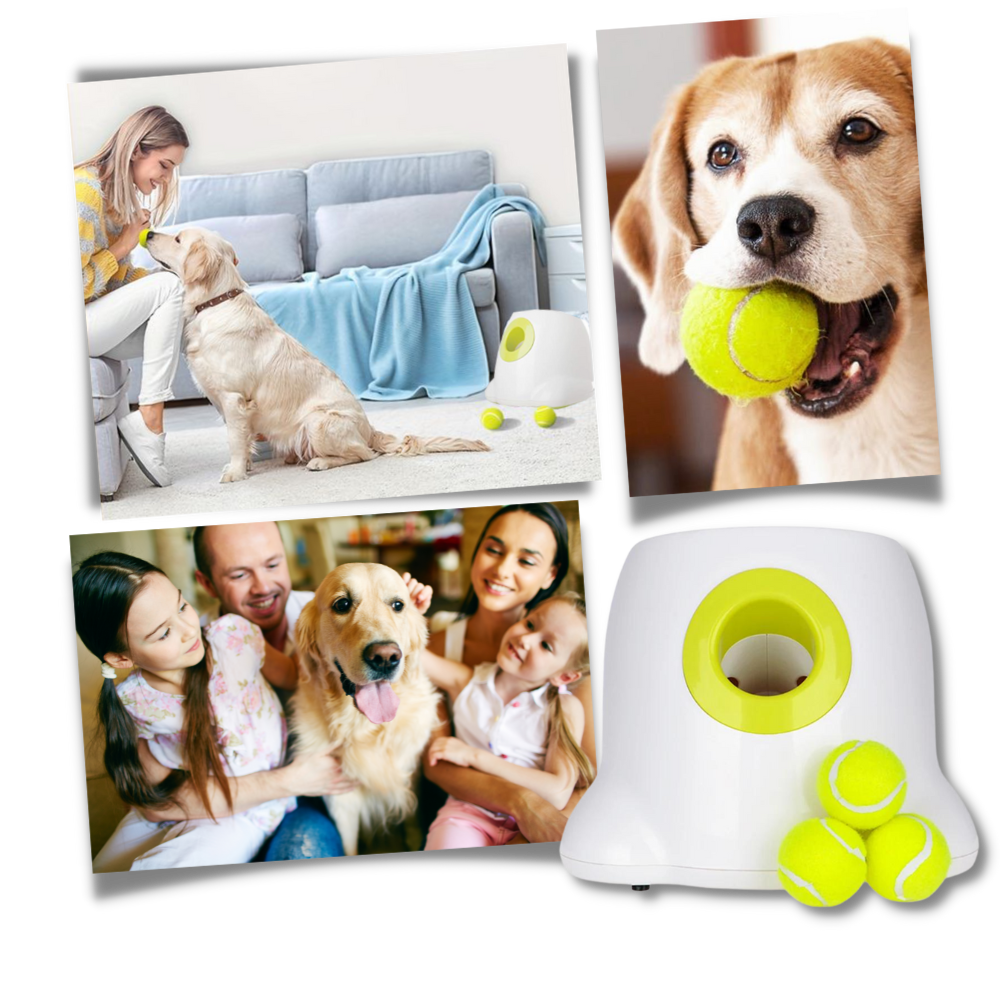 Dog Interactive ball launcher | Automatic Ball thrower - Pet Agility equipment | Fun pet trainning toy and Perfect Gifts for pets